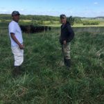 Grassland 2.0 podcast features the stories of graziers and grazing practitioners from across the state