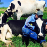 Farm worker Edgar Navarro shares about his experience with grazing