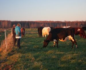The grass-fed market is more than just selling beef and milk