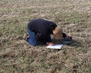 On-farm research explores the linkages between pasture management, soil health and ecosystem services