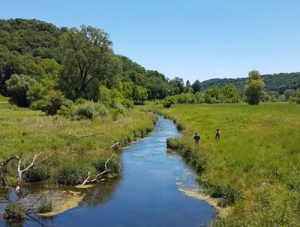 New podcast episode describes the relationship between perennial ag and water quality