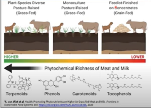 New GrassCast podcast shares cutting edge research linking animal and human health