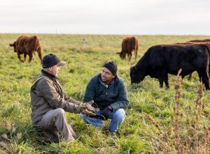 Creating a grazing movement in Sauk County