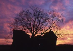 Dairy Needs Real Innovation