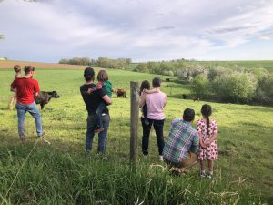 Getting Beyond Yield: A Broader View of Agriculture