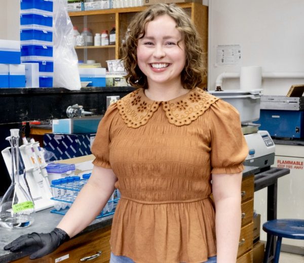 Where does soil carbon go and why does it matter?